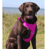 BayDog BayDog Harness | Chesapeake Harness Sunset Pink Large