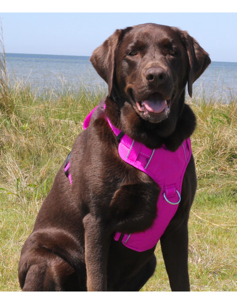 BayDog BayDog Harness | Chesapeake Harness Sunset Pink Large