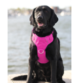 BayDog BayDog Harness | Chesapeake Harness Sunset Pink Large