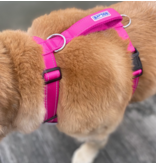 BayDog BayDog Harness | Chesapeake Harness Sunset Pink Large