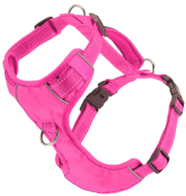 BayDog BayDog Harness | Chesapeake Harness Sunset Pink Large