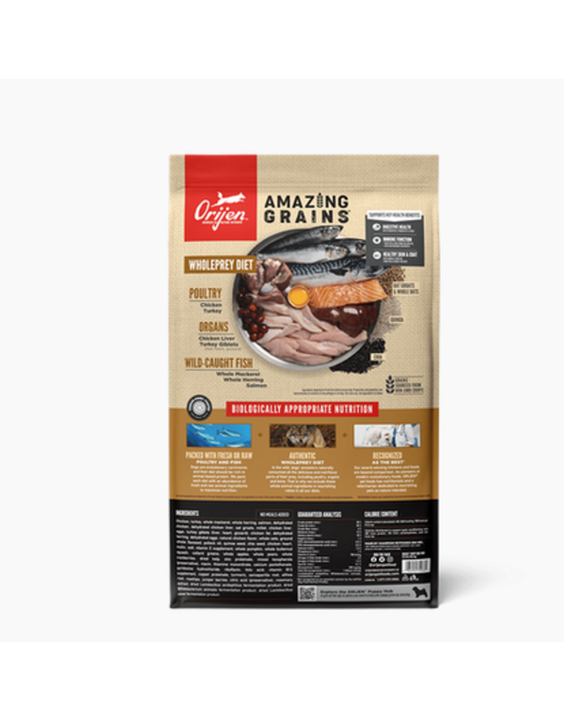 Orijen Amazing Grains Dog Kibble | Puppy 4 lb