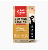 Orijen Amazing Grains Dog Kibble | Puppy 4 lb