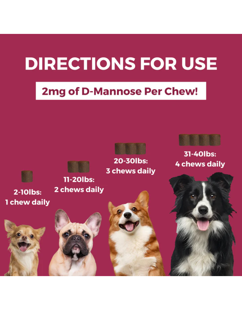 Nootie Nootie Progility Soft Chews | Urinary Support with D-Mannose for Dogs 60 Chews Mini