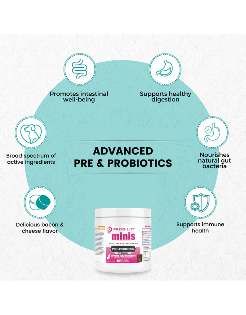 Nootie Nootie Progility Soft Chews | Mini Pre & Probiotics with Enzymes for Dogs 60 Chews Mini
