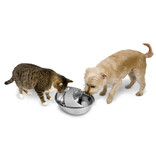 Pioneer Pet DISC/D Pioneer Pet Drinking Fountain | Raindrop Fountain Ceramic White 60 oz