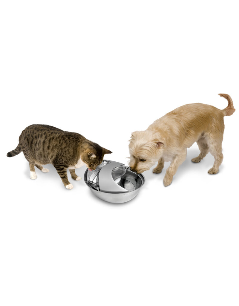 Pioneer Pet DISC/D Pioneer Pet Drinking Fountain | Raindrop Fountain Ceramic White 60 oz