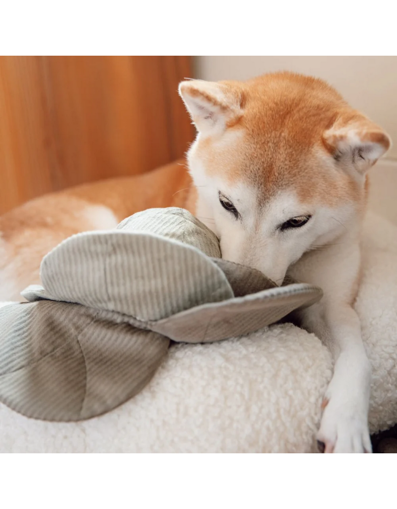 Lambwolf Collective Lambwolf Collective Interactive Toys | Cabbage Pop Snuffle Toy Medium Green