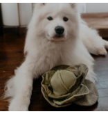 Lambwolf Collective Lambwolf Collective Interactive Toys | Cabbage Pop Snuffle Toy Medium Green