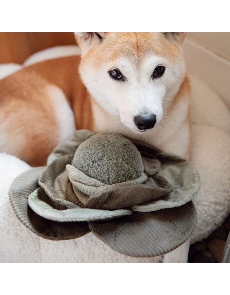 Lambwolf Collective Lambwolf Collective Interactive Toys | Cabbage Pop Snuffle Toy Medium Green