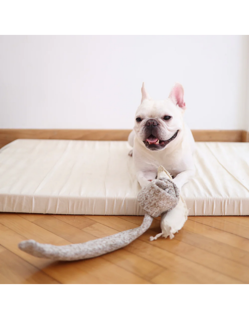 Lambwolf Collective Lambwolf Collective Interactive Toys | Snail Snuffle Squeaky