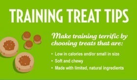 January is National Dog Training Month