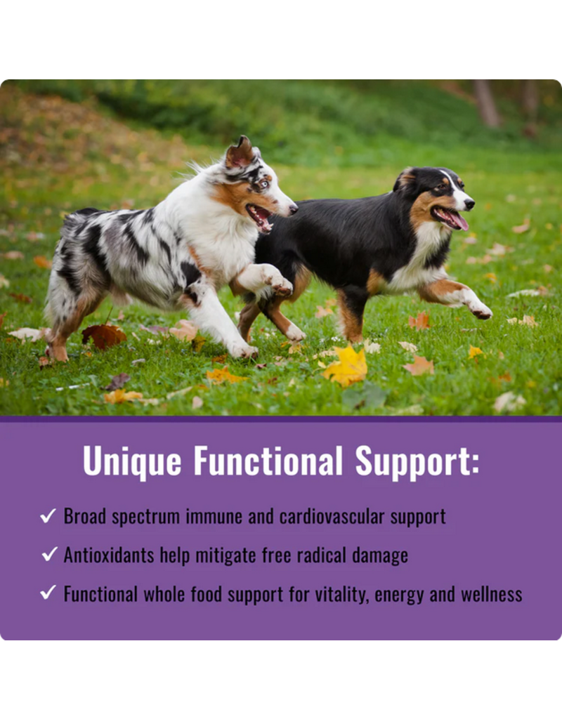 Mushroom Matrix Mushroom Matrix | Healthy Pet Matrix 100 Gram