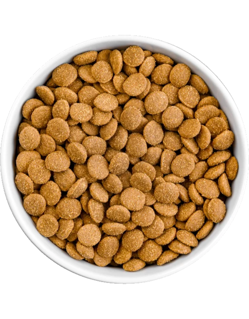 Koha Koha Dog Kibble | Beef & Brown Rice Bland Diet 20 lb