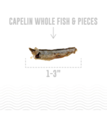 IcelandicPLUS DISC/M Icelandic+ Treats | Whole Capelin Fish & Pieces 9 oz