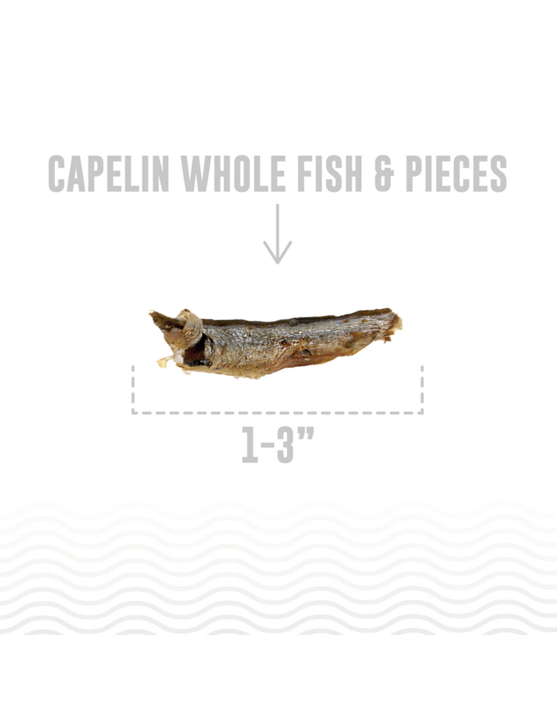 IcelandicPLUS DISC/M Icelandic+ Treats | Whole Capelin Fish & Pieces 9 oz