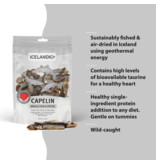 IcelandicPLUS DISC/M Icelandic+ Treats | Whole Capelin Fish & Pieces 9 oz