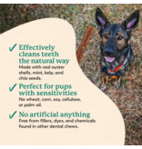 Dr. Harvey's Dr. Harvey's Dog Dental Chews | Holistix Sweet Potato & Mint 24 oz
