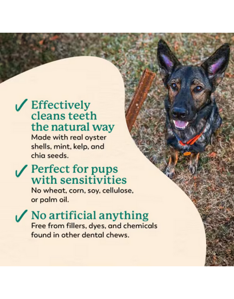 Dr. Harvey's Dr. Harvey's Dog Dental Chews | Holistix Sweet Potato & Mint 24 oz