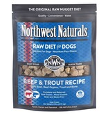 Northwest Naturals Northwest Naturals Frozen Dog Nuggets | Beef & Trout 6 lb (*Frozen Products for Local Delivery or In-Store Pickup Only. *)