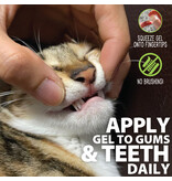 Adore Pet Solutions | Complete Oral Care Gel for Cats Salmon 4 oz