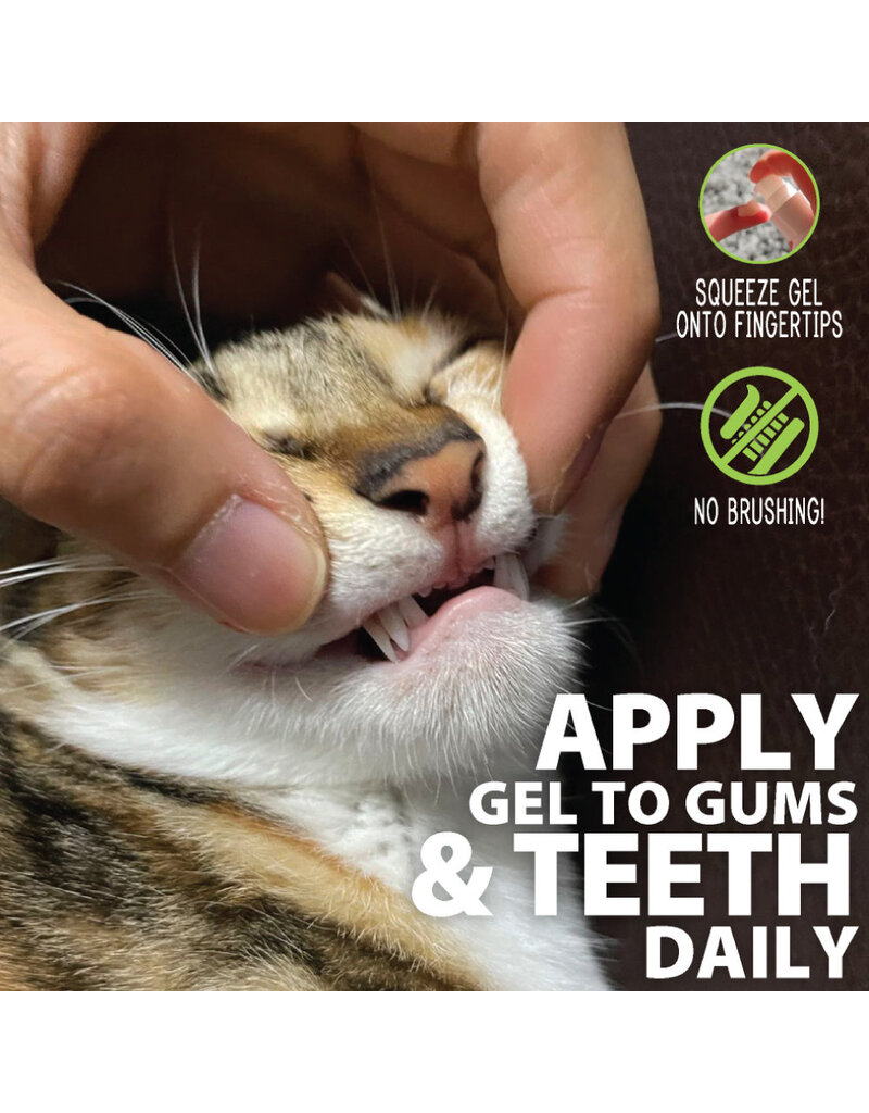 Adore Pet Solutions | Complete Oral Care Gel for Cats Salmon 4 oz