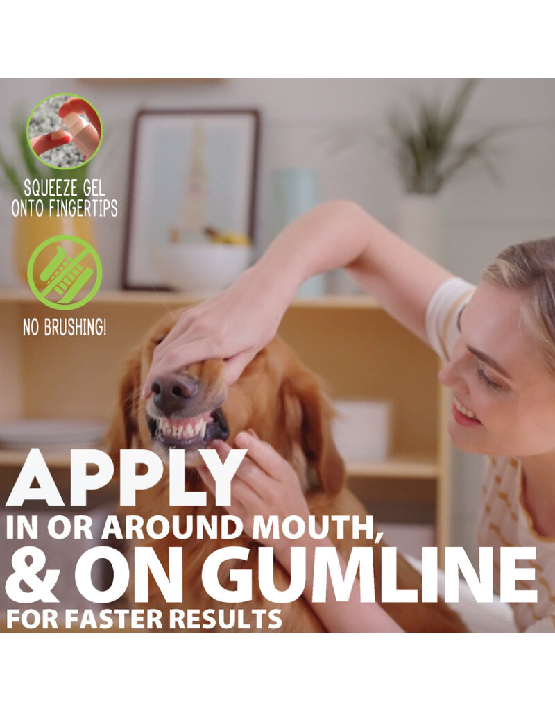 Adore Pet Solutions | Complete Oral Care Gel for Dogs Salmon 4 oz