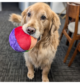 Fluff & Tuff Fluff & Tuff Inc. Dog Toys | Mini Beach Ball
