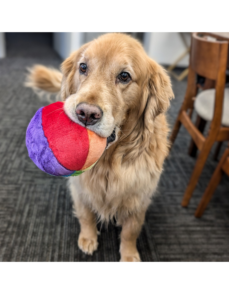 Fluff & Tuff Fluff & Tuff Inc. Dog Toys | Mini Beach Ball
