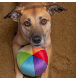 Fluff & Tuff Fluff & Tuff Inc. Dog Toys | Mini Beach Ball