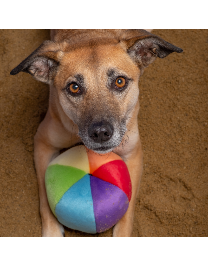 Fluff & Tuff Fluff & Tuff Inc. Dog Toys | Mini Beach Ball