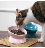 Park Life Park Life | Oscar Tilt Cat Dish Gray