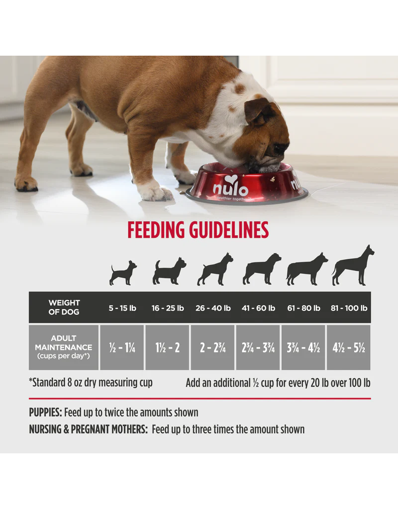 Nulo Nulo Dog Food Cold Pressed | Adult & Puppy Beef Recipe 4 lb