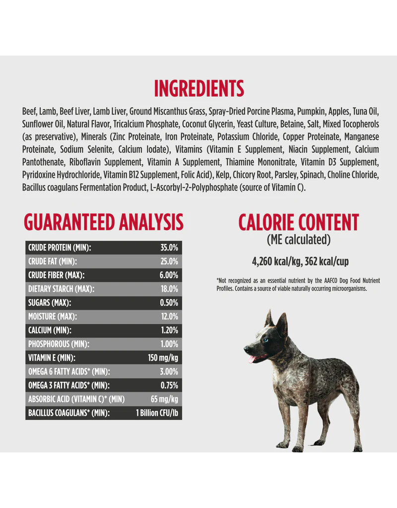 Nulo DISC/M Nulo Dog Food Cold Pressed | Adult & Puppy Beef Recipe 4 lb