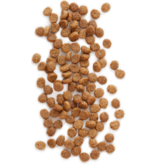 Earthborn Holistic Earthborn Holistic Cat Kibble | Primitive Feline Turkey 12.5 lbs