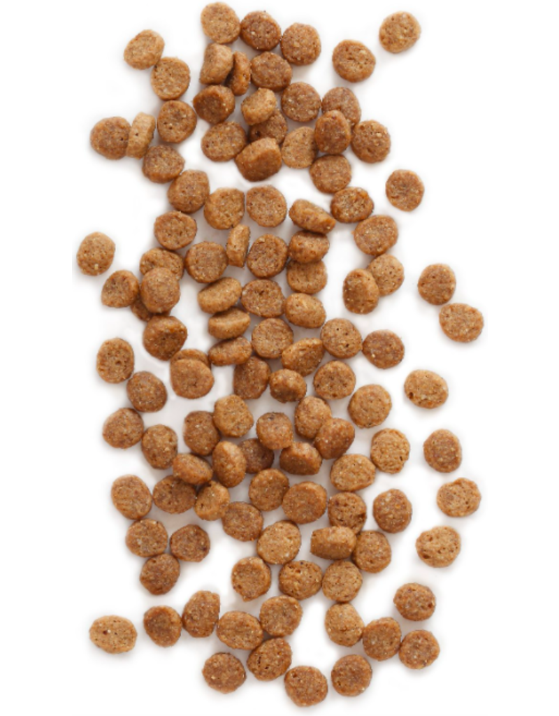 Earthborn Holistic Earthborn Holistic Cat Kibble | Primitive Feline Turkey 12.5 lbs
