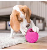 West Paw West Paw Dog Toys | Rumbl Dandelion Yellow Small