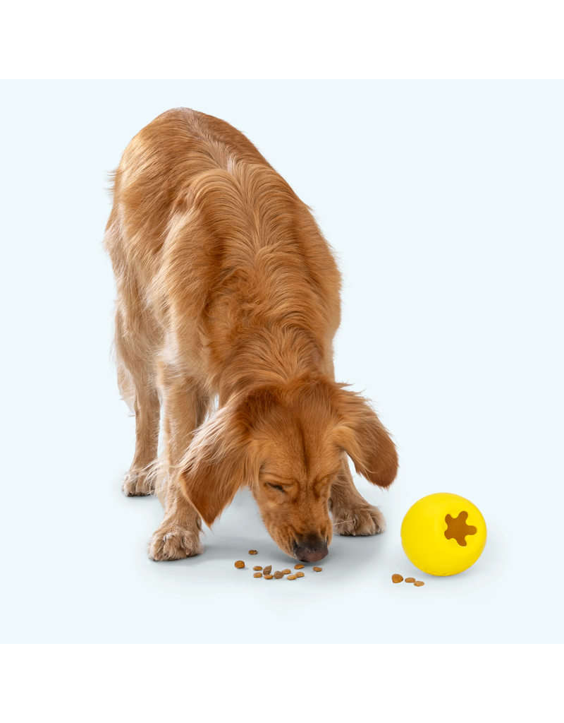 West Paw West Paw Dog Toys | Rumbl Dandelion Yellow Small