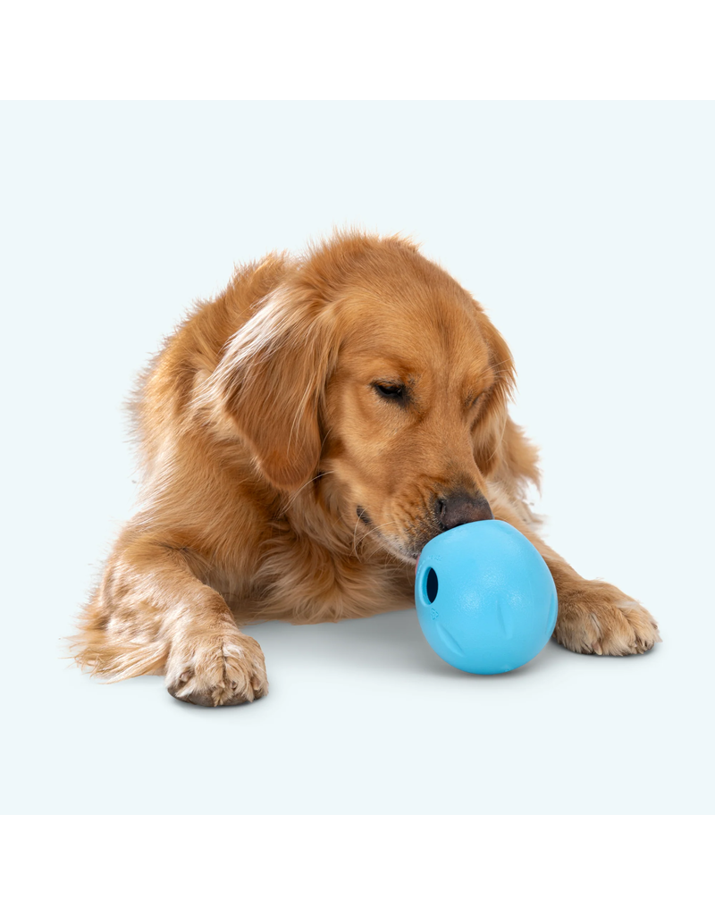 West Paw West Paw Dog Toys | Rumbl Dandelion Yellow Small