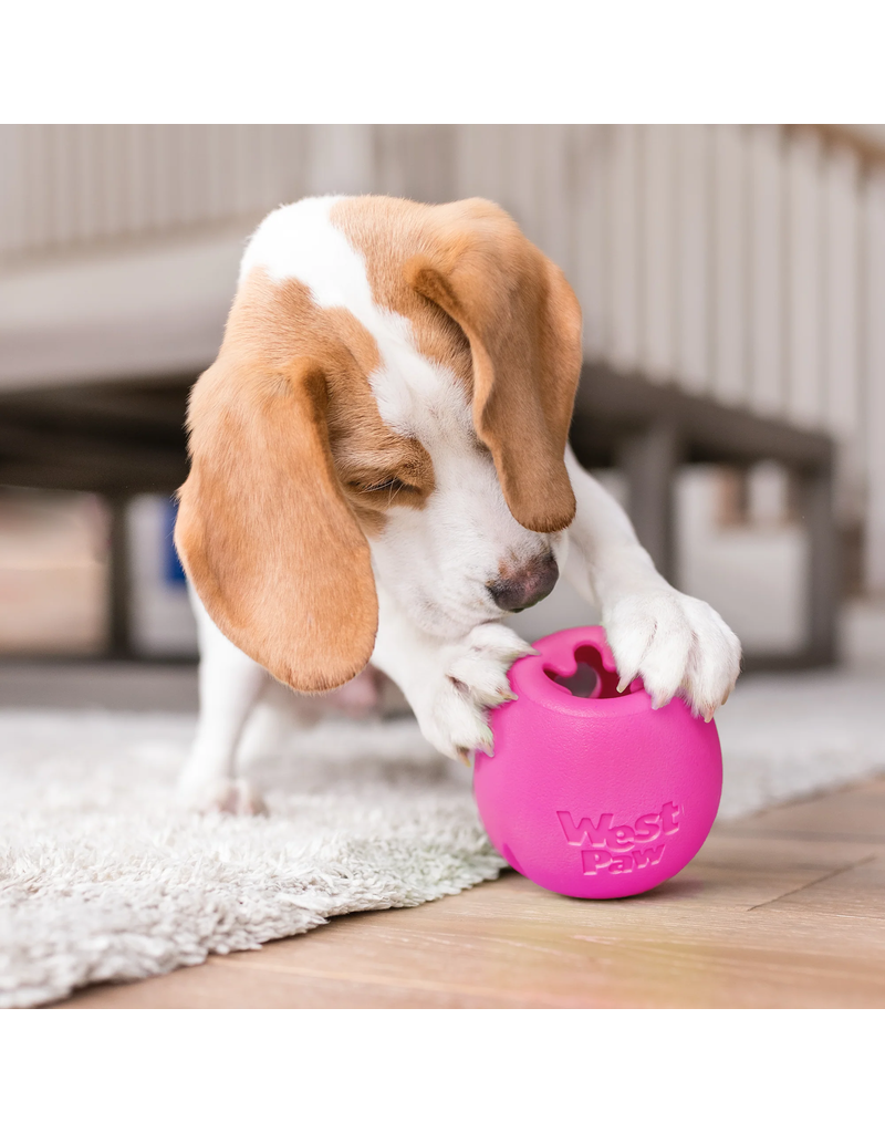 West Paw West Paw Dog Toys | Rumbl Aqua Blue Small