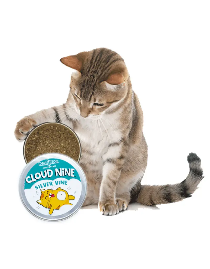 Dezi & Roo Dezi & Roo Cat Toys | Cloud Nine Silver Vine 15 g