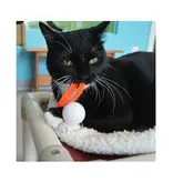 Dezi & Roo Dezi & Roo Cat Toys | Wiggly Ping Pong Ball