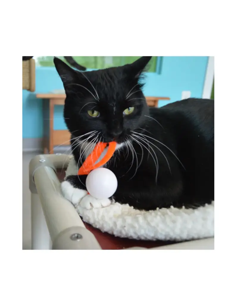 Dezi & Roo Dezi & Roo Cat Toys | Wiggly Ping Pong Ball