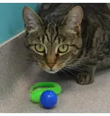 Dezi & Roo Dezi & Roo Cat Toys | Wiggly Ping Pong Ball