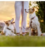 TicklessUSA Tickless Pet | Chemical Free Ultrasonic Tick & Flea EcoPet Tag
