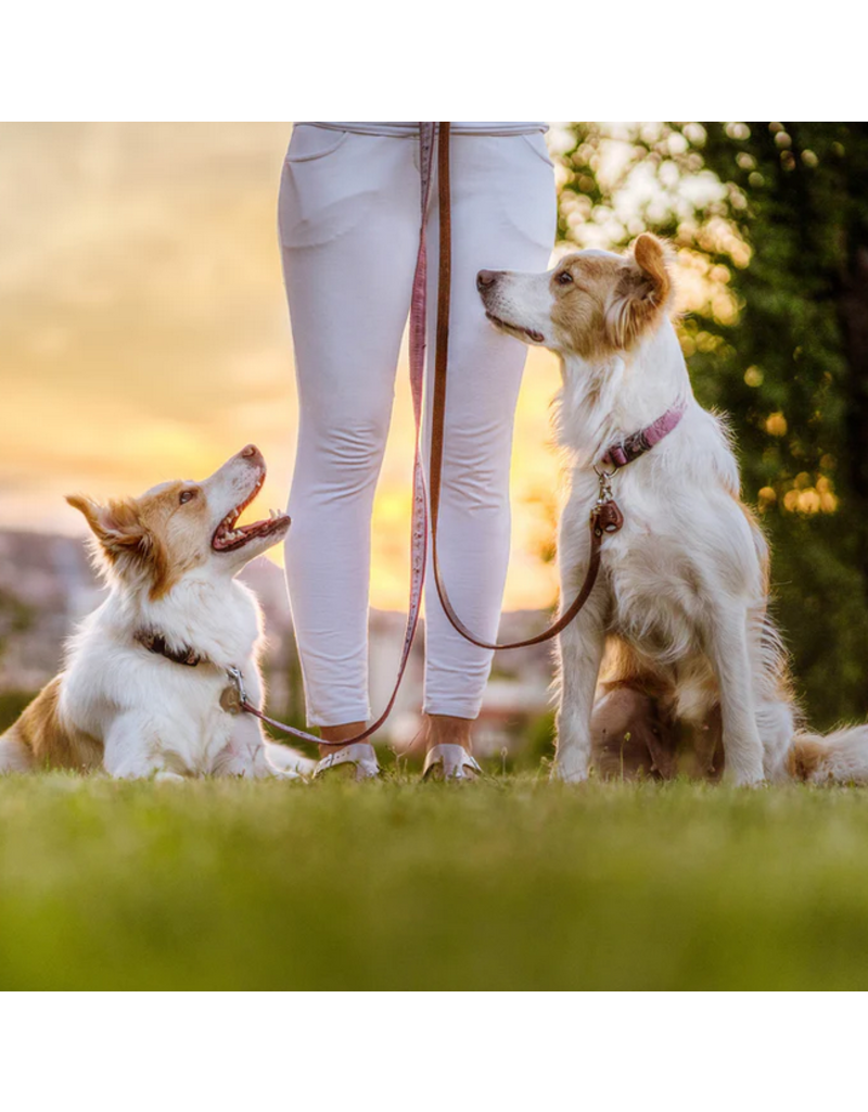 TicklessUSA Tickless Pet | Chemical Free Ultrasonic Tick & Flea EcoPet Tag