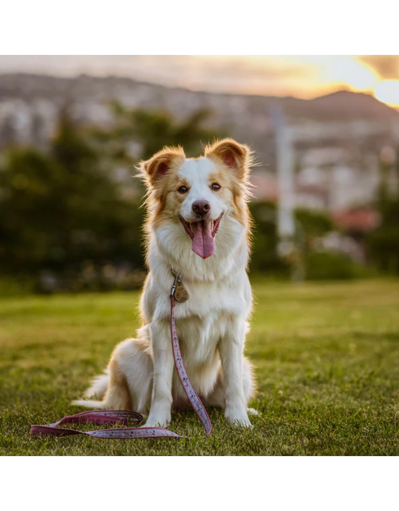 TicklessUSA Tickless Pet | Chemical Free Ultrasonic Tick & Flea EcoPet Tag