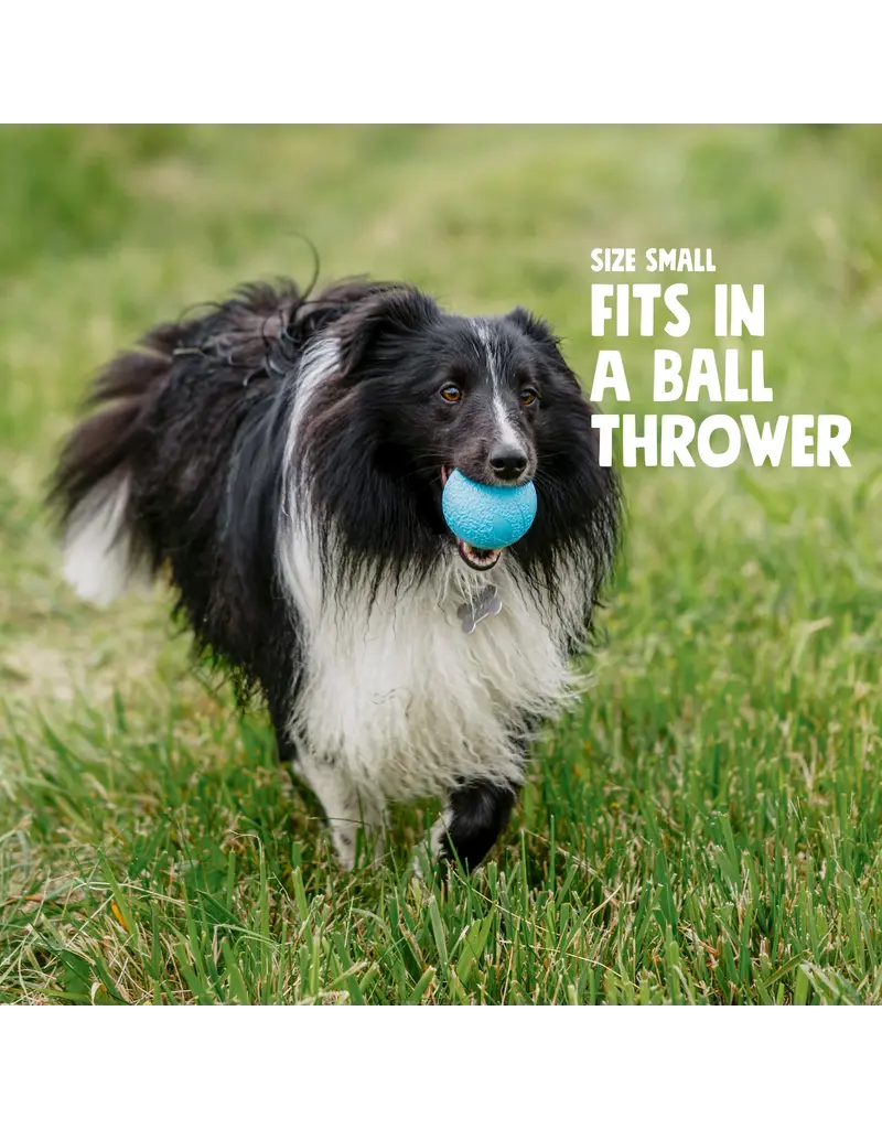 West Paw West Paw Dog Toys | Boundr Fetch Balls Glow Small 2 pack
