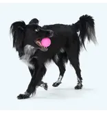 West Paw West Paw Dog Toys | Boundr Fetch Balls Dandelion/Hot Pink Small 2 pack