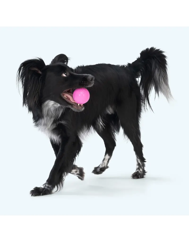 West Paw West Paw Dog Toys | Boundr Fetch Balls Dandelion/Hot Pink Small 2 pack